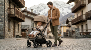 Passeggino leggero off road air CAM